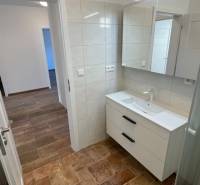 A bathroom in a family house with a wooden decor floor and a shower corner.