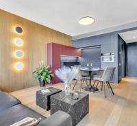 Továrenská SKY PARK11.jpg