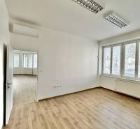 Offices with wood-patterned flooring and large windows for rent.