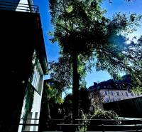 Offices in the center of Trenčín on M.R. Štefánik Street with green trees and a blue sky.