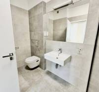 Bathroom with a sink and wall-mounted toilet, light tiles, large mirror.
