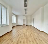Offices with wood-patterned flooring and windows, Trenčín, M. R. Štefánika.