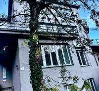 The building on M.R. Štefánik Street in Trenčín, surrounded by trees, offers office spaces.