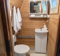 Bathroom in a cabin with wooden wall decor and basic amenities.