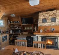 Interior of a cabin with a fireplace, pantry shelves, and a floor with a wooden decor.
