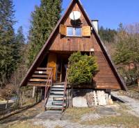 A wooden cottage in Oščadnica surrounded by greenery and conifers in mild sunlight.
