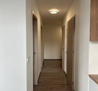 A hallway in a 3-room apartment with a wood-patterned floor and several doors.