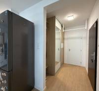 Kitchen and hallway in a 3-room apartment with a wooden decor floor.