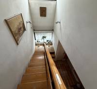 A staircase in a family house with a picture on the wall and a plant by the window.