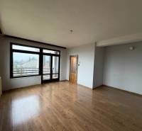 A room in a family house with a wooden-patterned floor and large windows overlooking the garden.