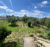 The garden of a family house in the village of Veľké Orvište on Tálová Street with lots of greenery.