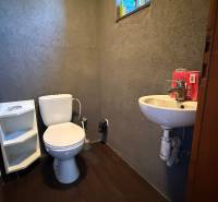 Bathroom with a toilet, sink, and storage space, floor with wooden decor.