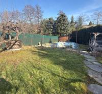 The garden of a family house in Lutila with trees and a pathway in a sunny environment.