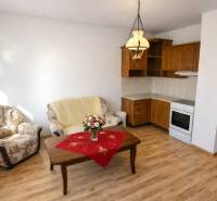 Living room in a 2-room apartment with a kitchenette and a wooden decor floor.