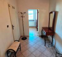 Hallway in a 2-room apartment with tiles, a mirror, and a fern.