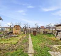 Garden in a family house in Topoľníky with old buildings and fencing.