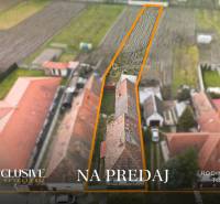 Family house in Topoľníky with a garden for sale, bordered by an orange line.