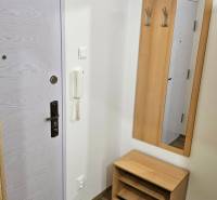 In the studio apartment, there is an entrance door, a mirror with hooks, a small shelf, and a floor with a wooden decor.