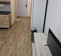 Studio apartment with wood-patterned flooring, kitchenette, refrigerator, and television.