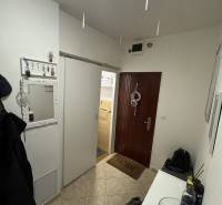 Hallway of a 3-room apartment with coat racks, a mirror, and entrance doors.