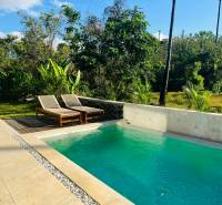 A swimming pool in a family house in Amede surrounded by greenery and a blue sky.