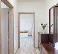 A hallway in a 2-room apartment with a wooden decor floor and dark furniture.
