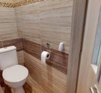 A bathroom with walls featuring a wooden decor in a 2-room apartment.