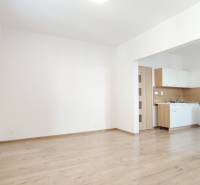 Interior of a 2-room apartment with a kitchen and a wooden decor floor.