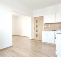 A kitchen in a 2-room apartment with a wooden decor countertop and flooring.