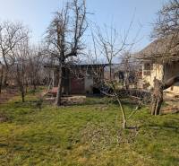 The garden at the family house on Nova Street in Lastovce with a lawn and trees.