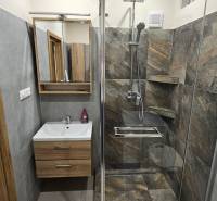 Bathroom in a 2-room apartment with a shower and a sink with a wooden decor.
