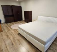 Bedroom in a 2-room apartment with a bed, wardrobe, and wooden decor flooring.