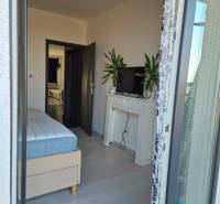 A bedroom with a bed, television, and plants in a 3-room apartment with a wooden decor floor.