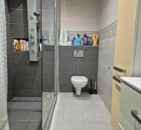Bathroom in a 3-room apartment with a shower and toilet, with storage space for cosmetics.
