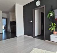 A living room with wood-patterned flooring, a black wall, and plants in a three-room apartment.