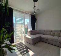 A living room in a 3-room apartment with a wooden decor floor, a large sofa, and plants.