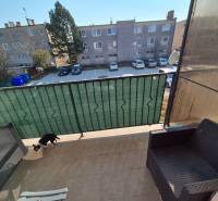 A balcony with a view of the parking lot, rattan seating, and a dog, Blatná na Ostrove.