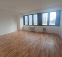 Interior of an office with wood-patterned flooring and large windows.