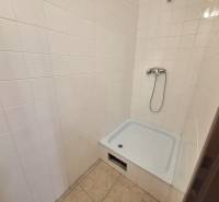 A shower corner with white tiles and flooring in an office.