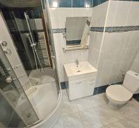 Bathroom in a 2-room apartment with a corner shower, sink, and toilet.