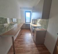 A kitchen in a building with a wooden decor floor and a green kitchen countertop.