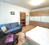 1-bedroom apartment with wood-patterned flooring, a pull-out sofa, and a built-in wardrobe.