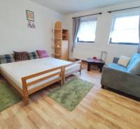In the 1-room apartment, there is a bed, a sofa, and a floor with a wooden decor.