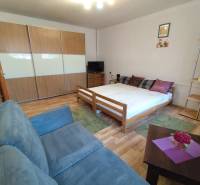 Interior of a 1-room apartment with a sofa, bed, wardrobe, and floor with wooden decor.