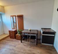 Interior of a 1-bedroom apartment with furniture and flooring featuring a wood decor.