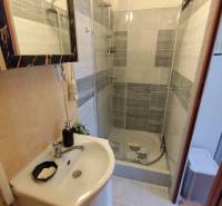 Bathroom with a sink and a shower enclosure with a glass screen, studio apartment.
