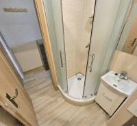 A bathroom in a studio apartment with a cassette shower and a wooden decor floor.