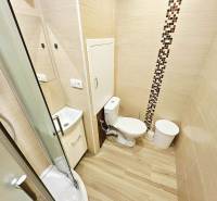 Compact bathroom in a studio apartment with a toilet, shower, and floor with wood decor.