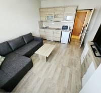 Studio apartment with a sofa, kitchenette, and wooden decor flooring.