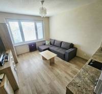 A studio apartment with a wood-patterned floor, a sofa, and a TV area.